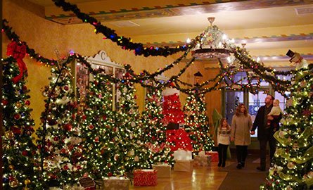 Hallway of trees